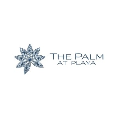 Palm at Playa